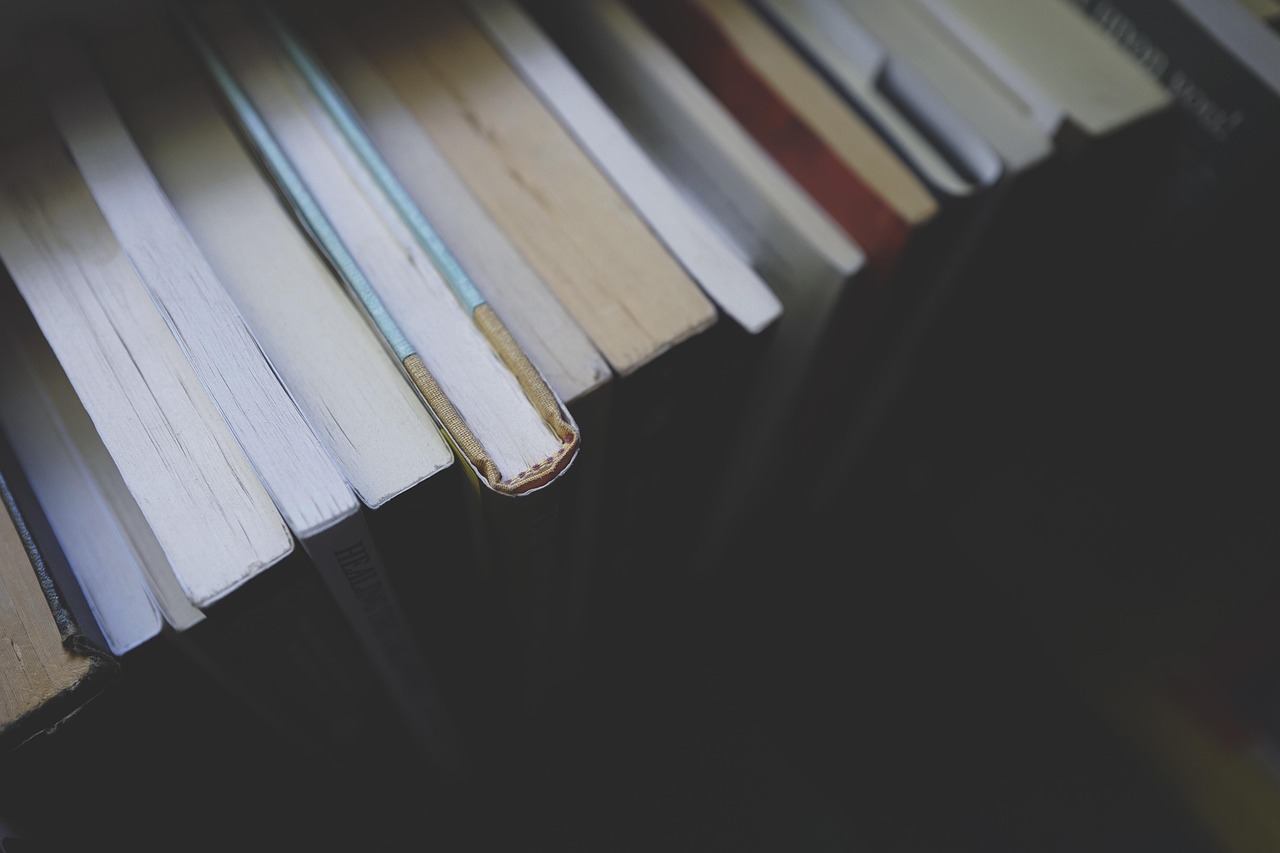 What readers should know before reading expert opinions